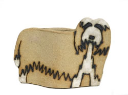 Bearded Collie